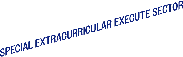 SPECIAL EXTRACURRICULAR EXECUTE SECTOR